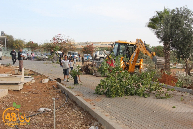 tasoooi3i1412 (44).JPG